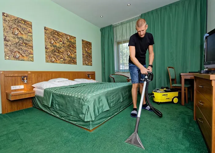 Ξενοδοχείο Max 3*