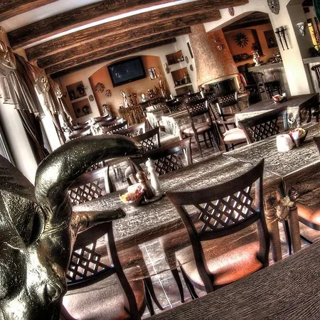 Max براتسيلافا